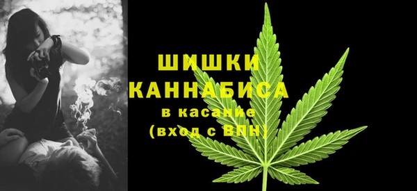 стаф Бугульма