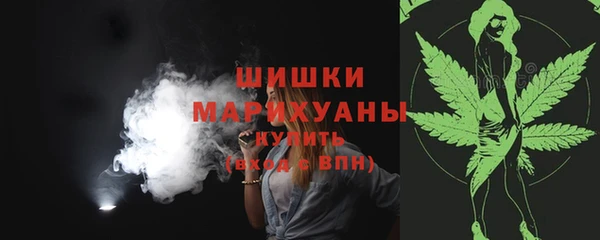 твердый Богданович