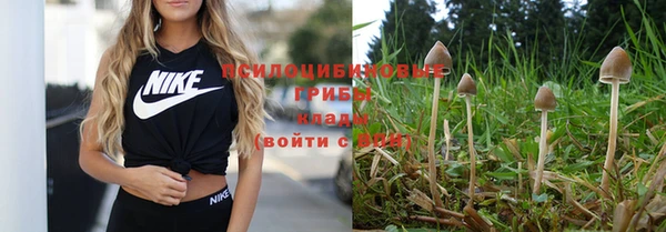 тгк Бронницы