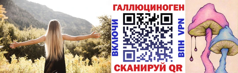 Галлюциногенные грибы Psilocybine cubensis  Дальнегорск 